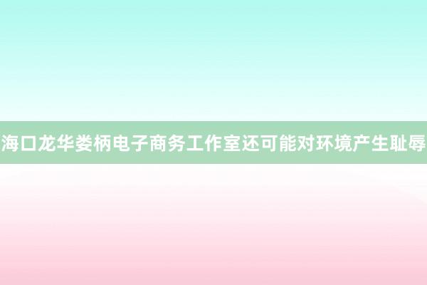 海口龙华娄柄电子商务工作室还可能对环境产生耻辱