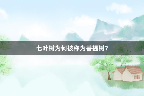 七叶树为何被称为菩提树？